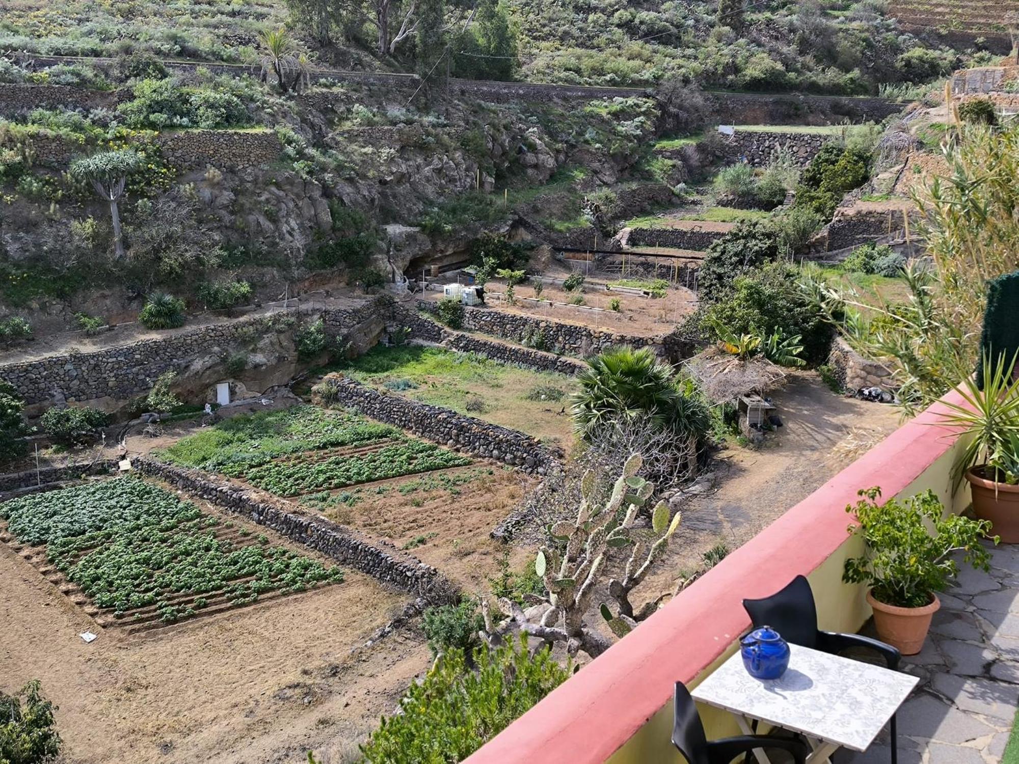 Hotel Rural La Raya 1866 Güimar Exteriér fotografie
